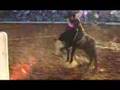 Rodeo - Brawley Cattle Call - Action