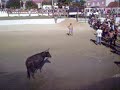 Especial Largadas de Toiros na Praia do Ros�rio 2007-Parte1