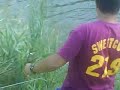 carpfishing canale