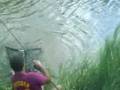 carpfishing canale