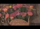 92067 Rancho Santa Fe Garden Club