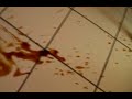 Killer Cat -horror-
