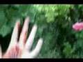The Cat killer (le chat tueur)
