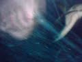MOV00309.3GP