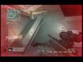 videos de KRYLON