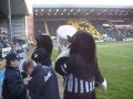 Notts County vs Grimsby Town Mascot Mash up