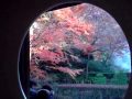 桂離宮
