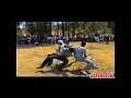 EĞRİSÖĞÜT HIÇIN ŞENLİĞİ 2