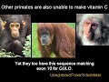 evidence-for-evolution-part-ii.html