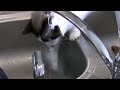 Egon Attacks Water
