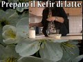 Kefir of milk tutorial