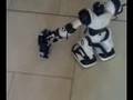 Robosapiens vs i-sobot