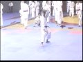 Goju Ryu Karate Perú Kata Seienchin Ricardo Farfán Budai Kan Goju Ryu Karate Perú Kata Seienchin Ricardo Farfán Budai Kan