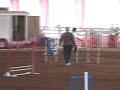 Cash Novice JWW