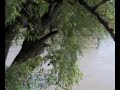 Holdvil�gos �jszak�n