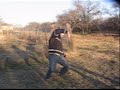 merlyn tyrell goes shooting merlyn tyrell goes shooting