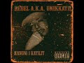 rebel-aka-unikkatil-kile-kile-good-quality-2008.html
