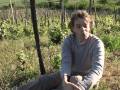 The rebirth of Hungary's wine of kings