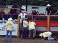 Rodeo Hilter 2008 Wildpferdreiten Zweites Go