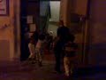 Imbecilli alla sagra di paese di Gamalero Alessandria 2