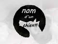chien-mignons.html