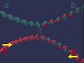 RECOMBINATION