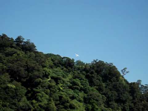 Cessna 185 水上飛機