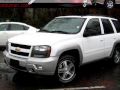 2007 Chevrolet TrailBlazer LT 23434 Mike Duman Auto Sales