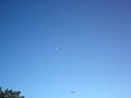 A little morningflight with my 