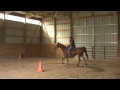Ruth, Rod, & the fillies