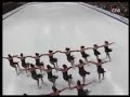 2007 World Synchronized Skating Championships
