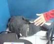 CLASES EN LA UNE