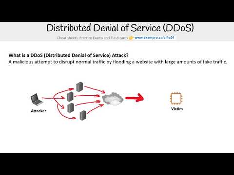 CLF-C01 —  DDoS