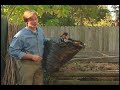 Saving Leaves for Compost Saving Leaves for Compost