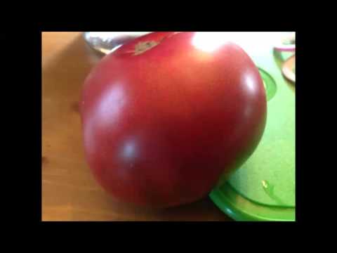 how to ripen tomatoes off the vine