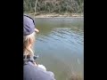 Massive Brown Trout fishing - 68cm