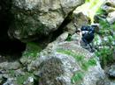 Bucegi- Moraru Bucegi- Moraru