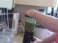 Kiwi, Apple, Strawberry, Kale Green Smoothie