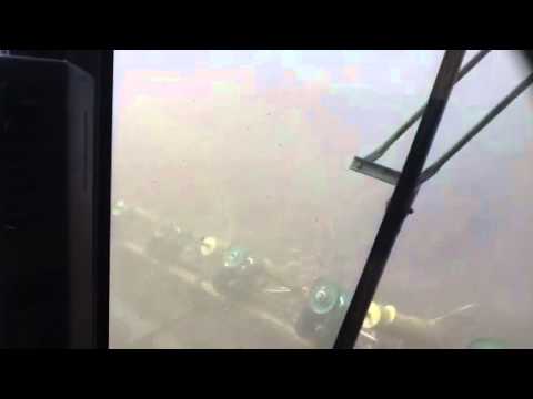 how to harvest down corn