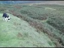 nordy bank ironage hill