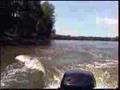 Flying Carp on th Illinois River