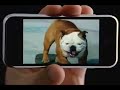 Apple iPhone Apple iPhone