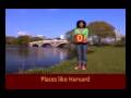 Harvard by the Numbers