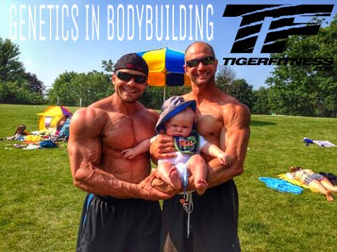 Can You Make it in Bodybuilding Without Genetics?