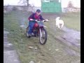 ?Z 125/516 - bahno