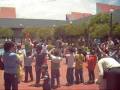 Guachipilin en México.wmv