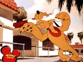 Pluto allo Zoo.