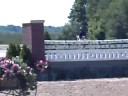 Regular Hunter Fortissimo Traverse City Equitation Horse for Sale