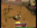 Guild Wars Farming