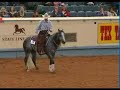 American Quarter Horse Championships